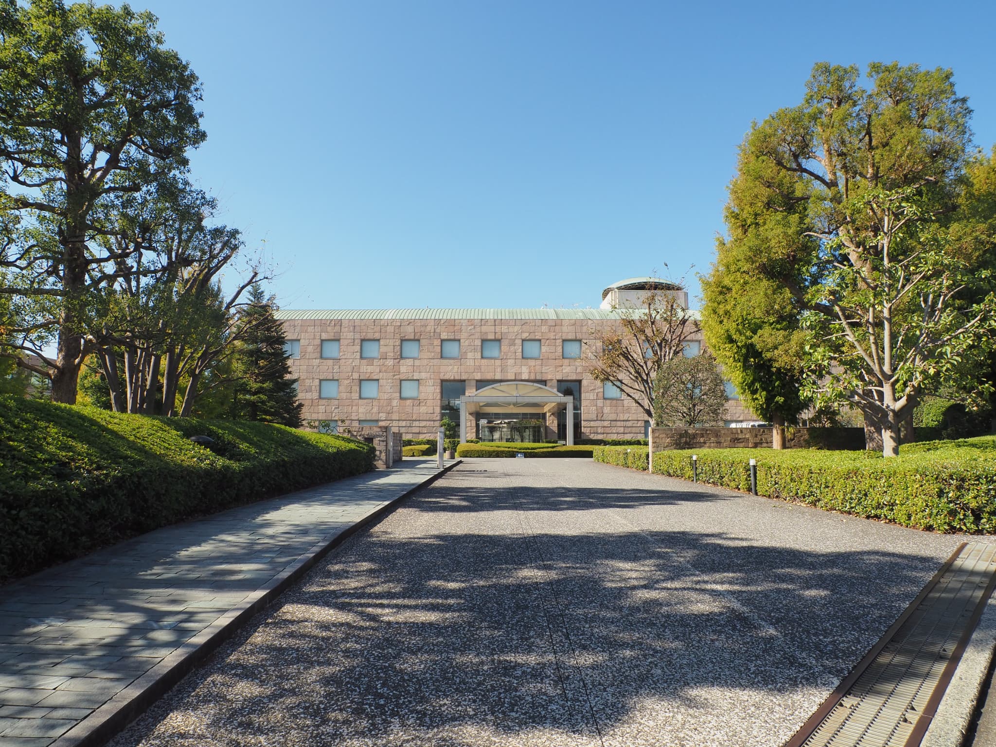 美容師養成施設（専門職大学）の専任教員