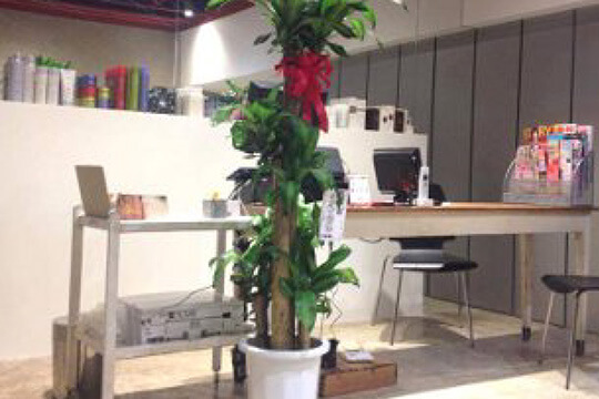 Natural hair designing宇都宮城南店店舗写真1