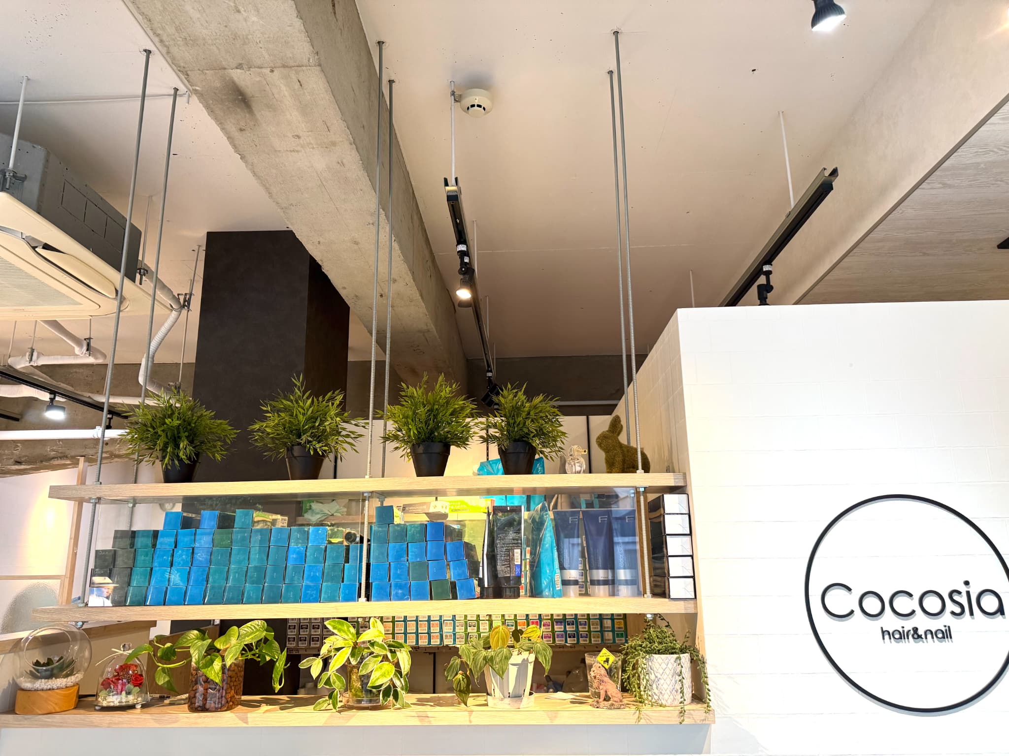 Cocosia北綾瀬店店舗写真1