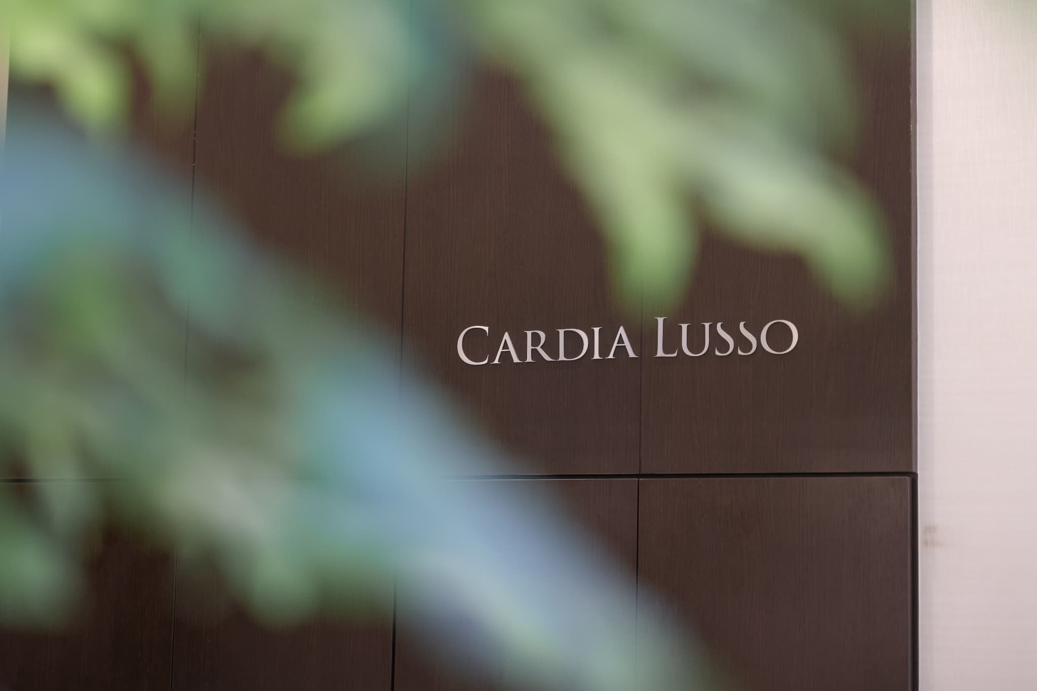 CARDIA LUSSO店舗写真4