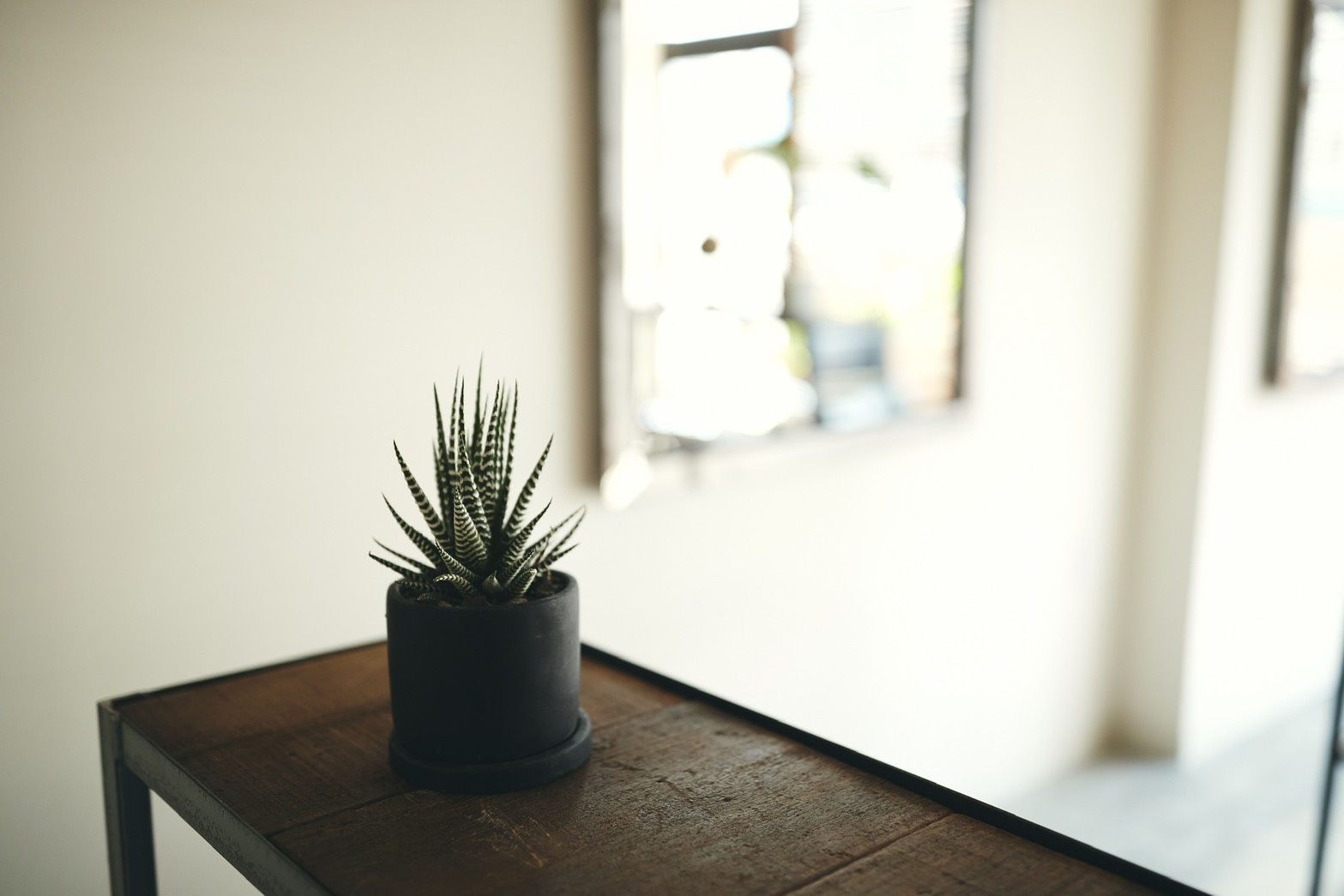 caru北浦和東口店店舗写真5