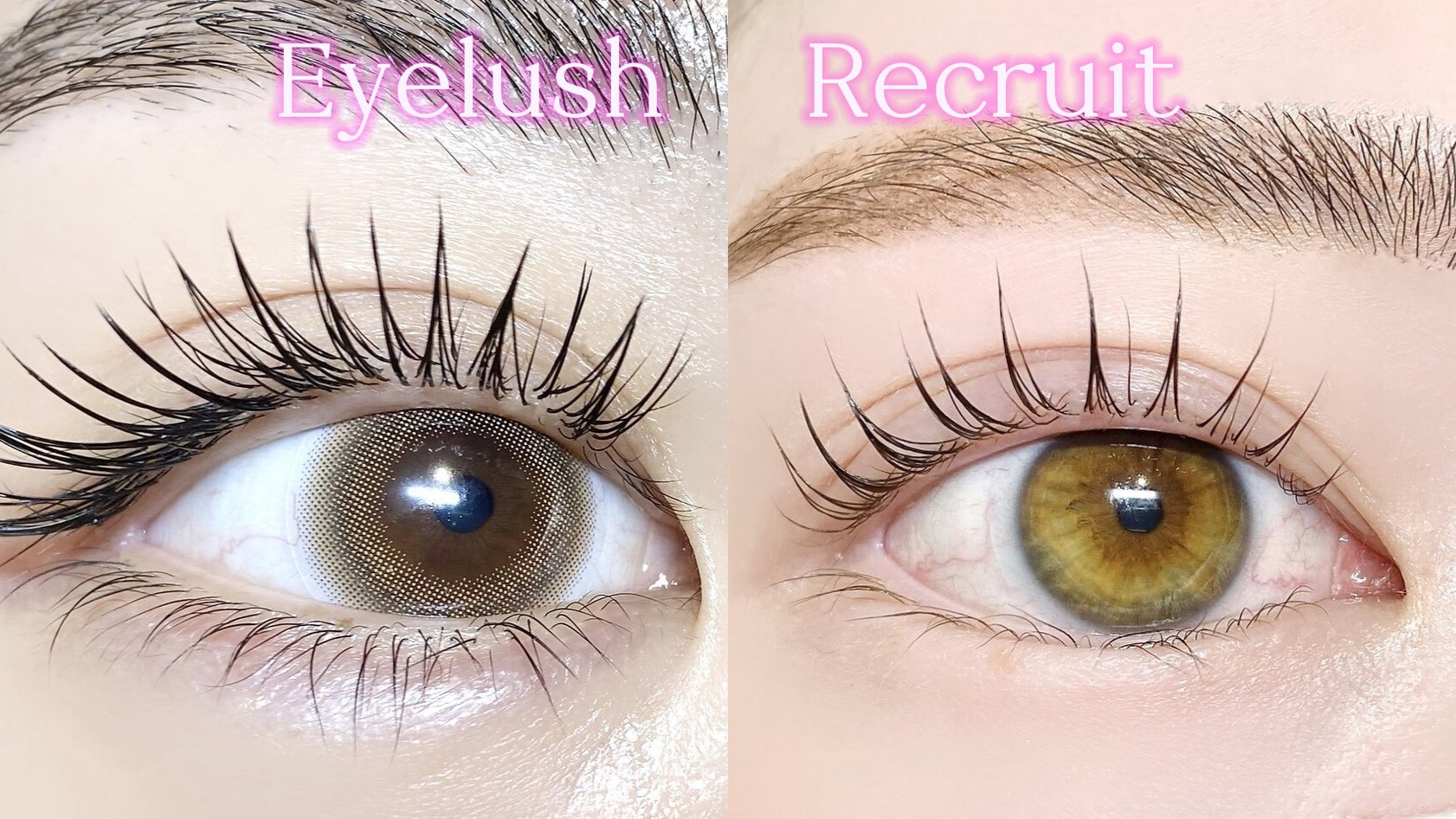 Neolive ROA鶴川店店舗写真6