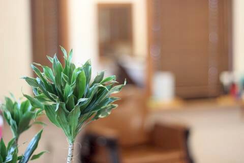 Merref Hair湘南台店舗写真3